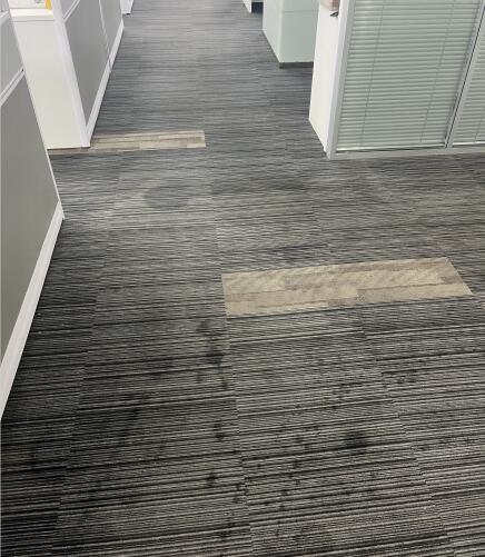 上海移为通信合肥分公司地毯清洗